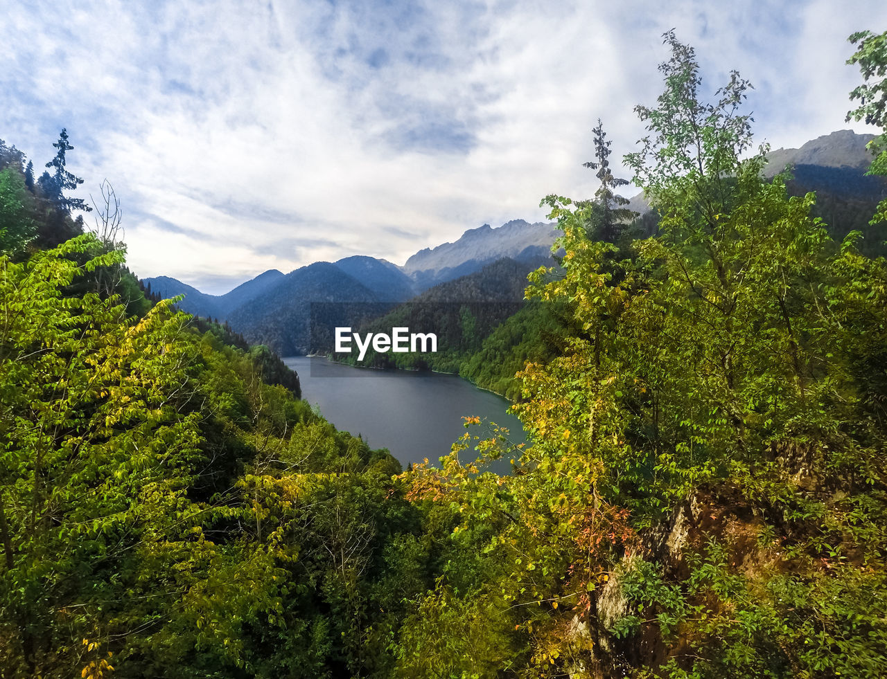 SCENIC VIEW OF LAKE AMIDST TREES AGAINST SKY