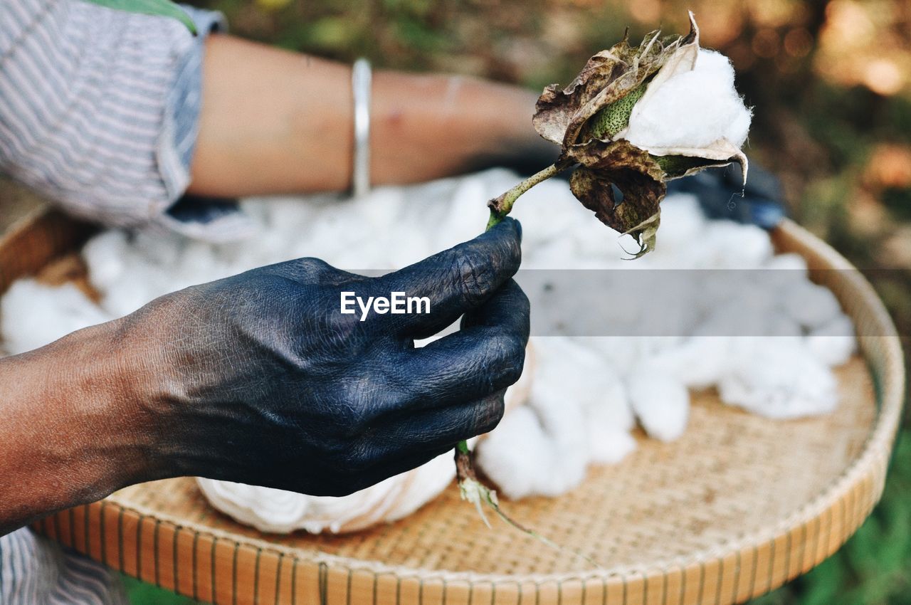 Cropped hand of man holding cotton outdoors