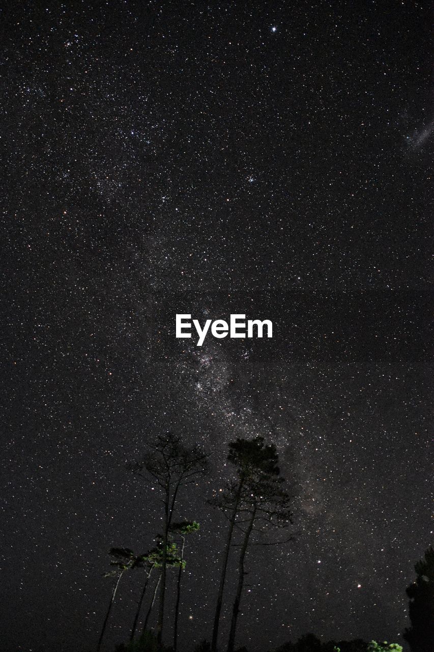 Low angle view of star field against sky at night