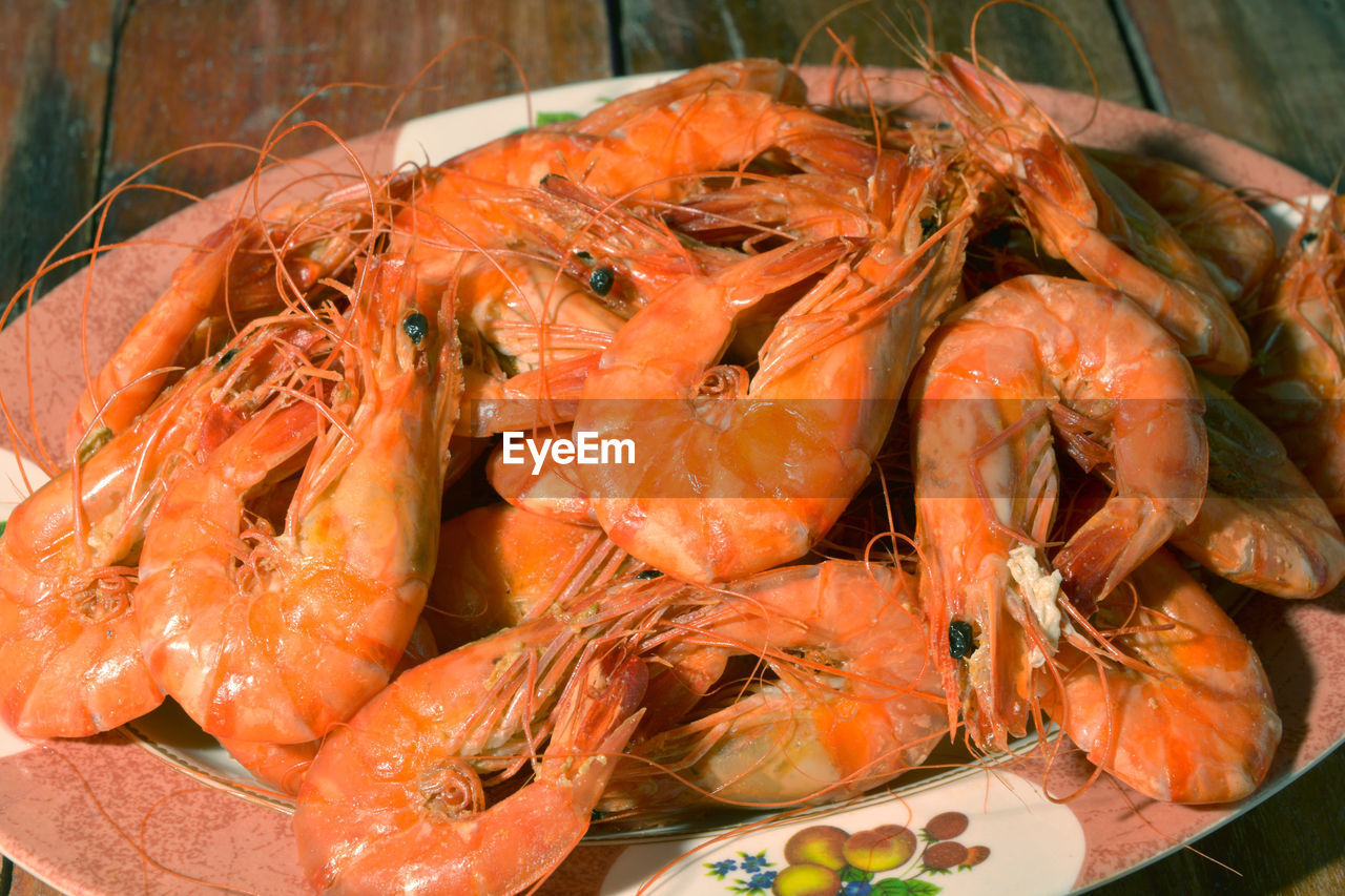 food, food and drink, seafood, shrimp, freshness, crustacean, healthy eating, animal, dendrobranchiata, fish, seafood boil, wellbeing, scampi, no people, prawn, orange color, shellfish, raw food, close-up, plate, high angle view, dungeness crab