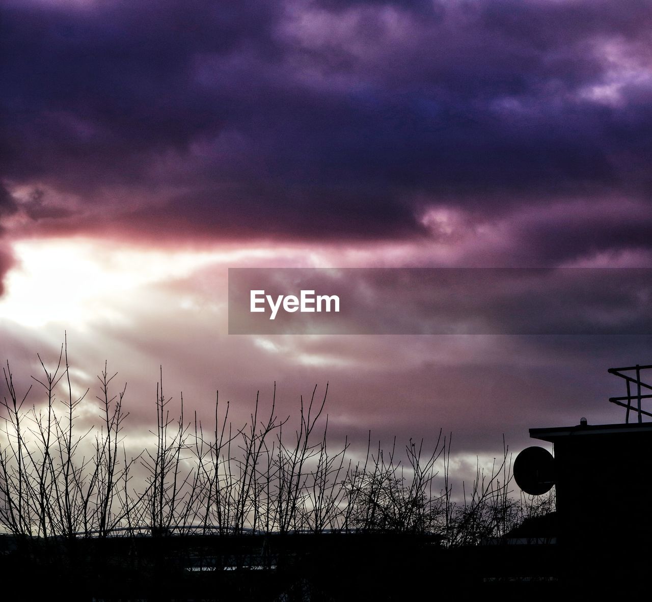 LOW ANGLE VIEW OF DRAMATIC SKY OVER SILHOUETTE TREES