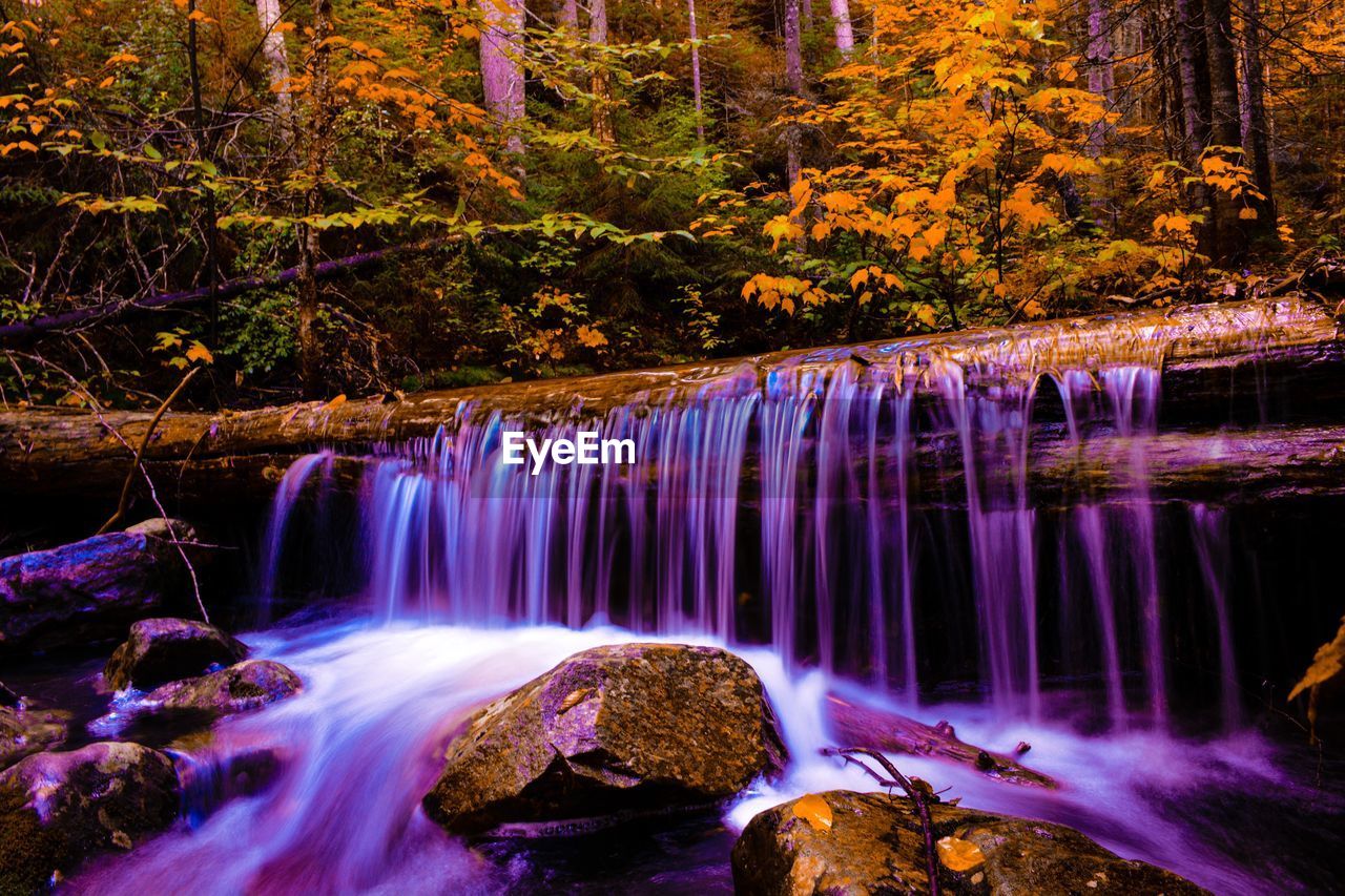 WATERFALL IN FOREST