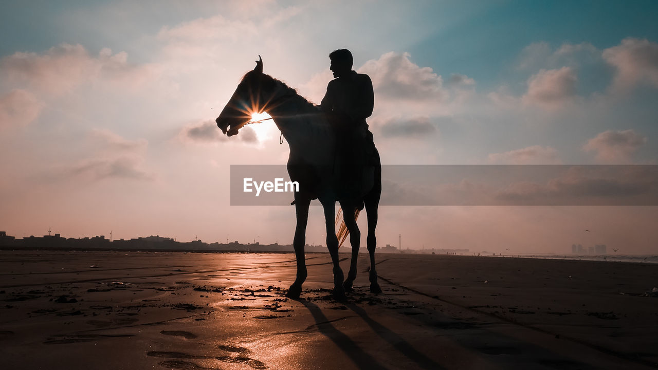 Man riding horse at beach against sky during sunset