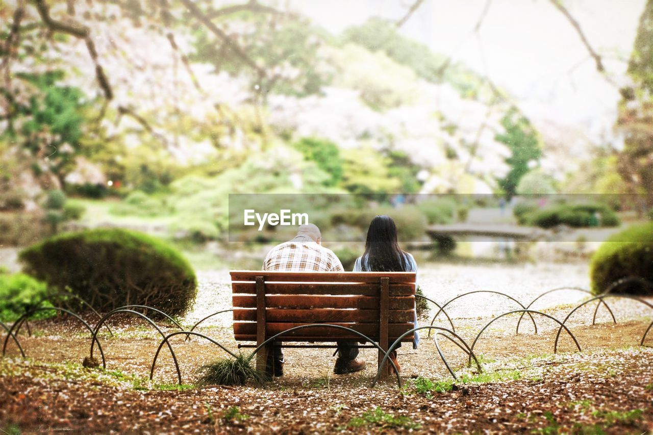 Rear view of young couple sitting on bench in park