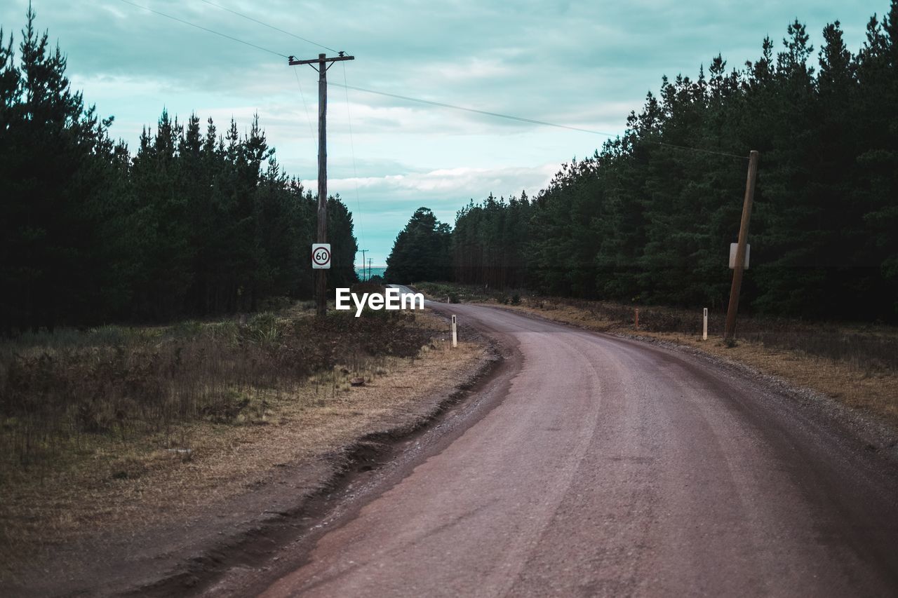 Empty road amidst trees on field