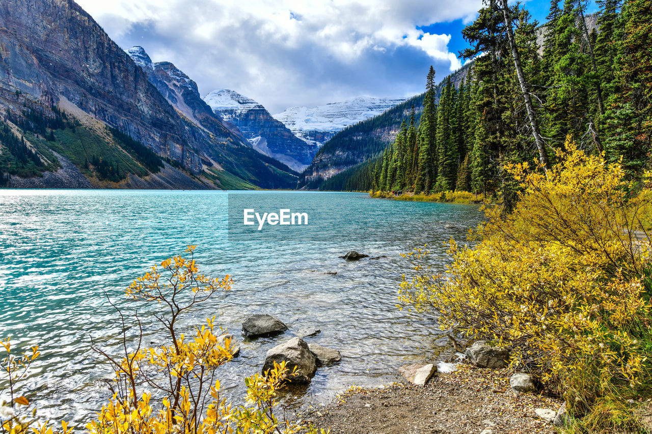 Scenic view of lake in forest against sky