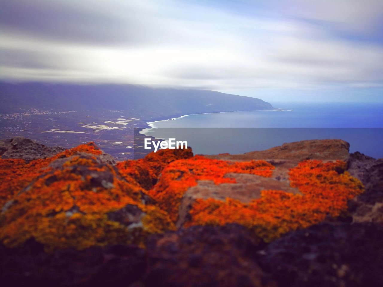 SCENIC VIEW OF AUTUMN AGAINST SKY