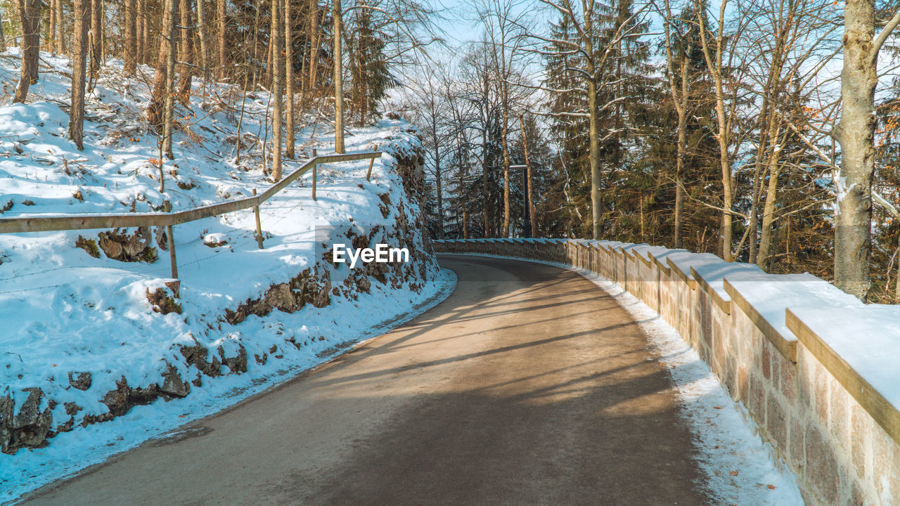 Snow covered road amidst trees in forest