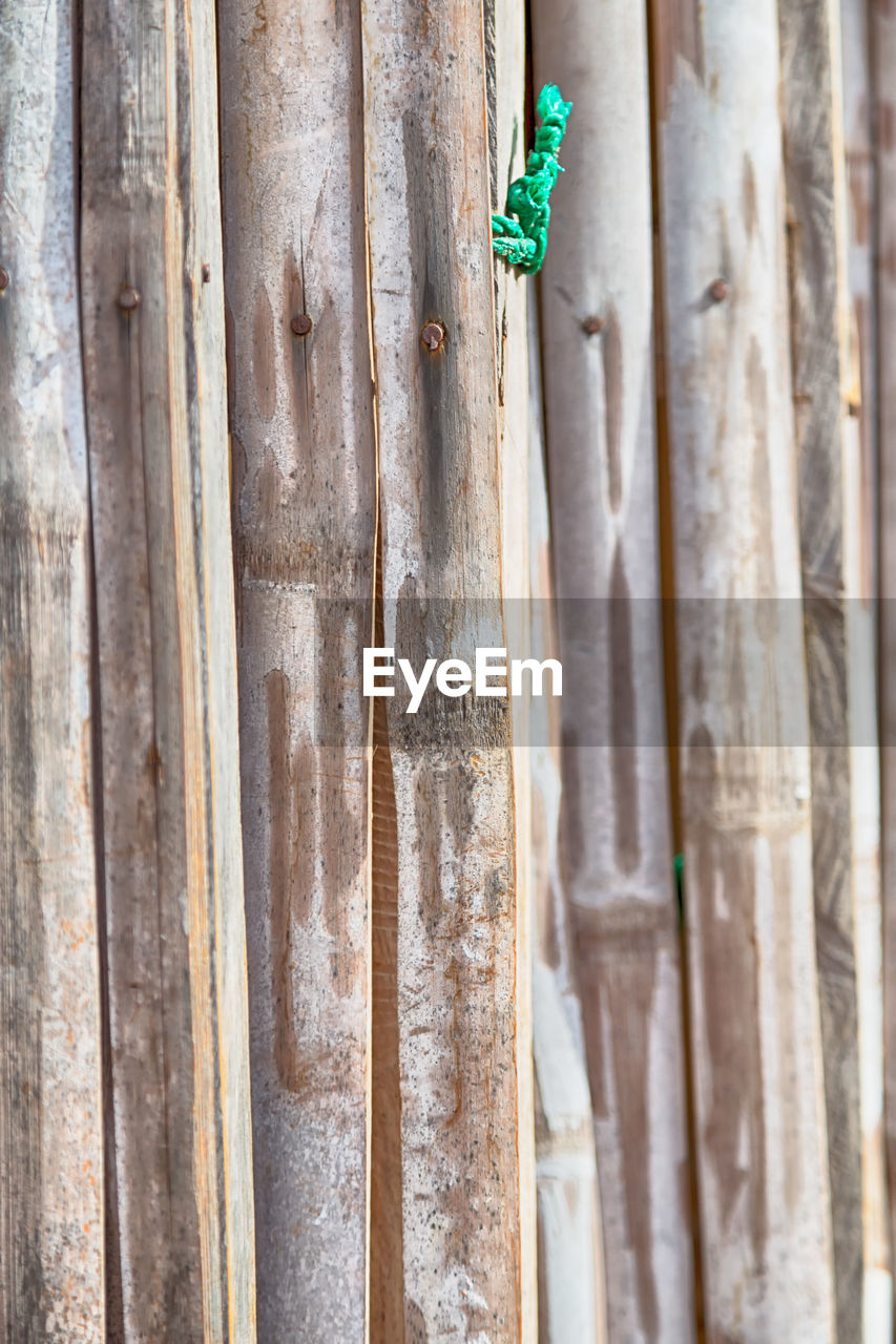 FULL FRAME SHOT OF WEATHERED WOOD ON TREE