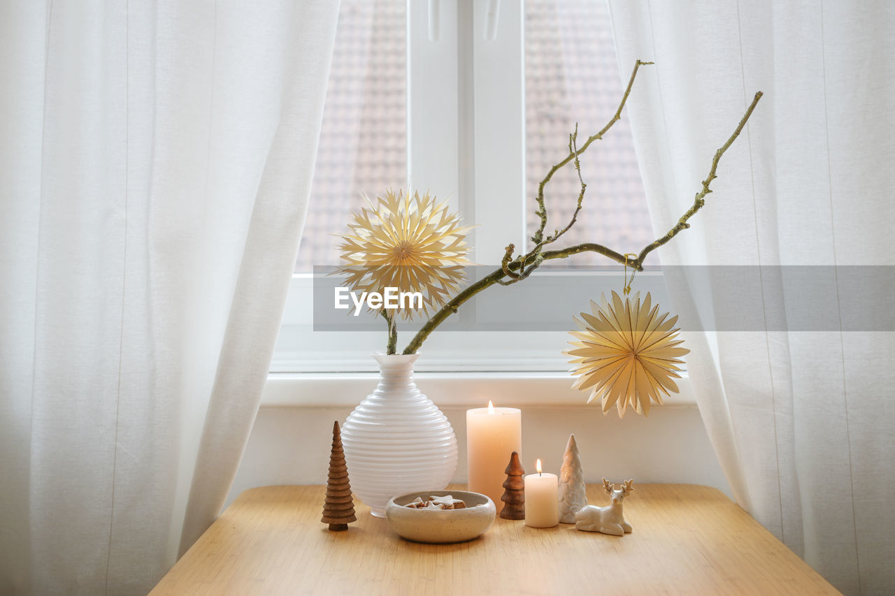 close-up of potted plant on table at home