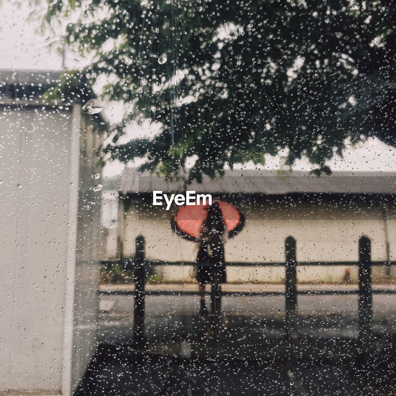 Girl with umbrella seen through wet window during rainy season