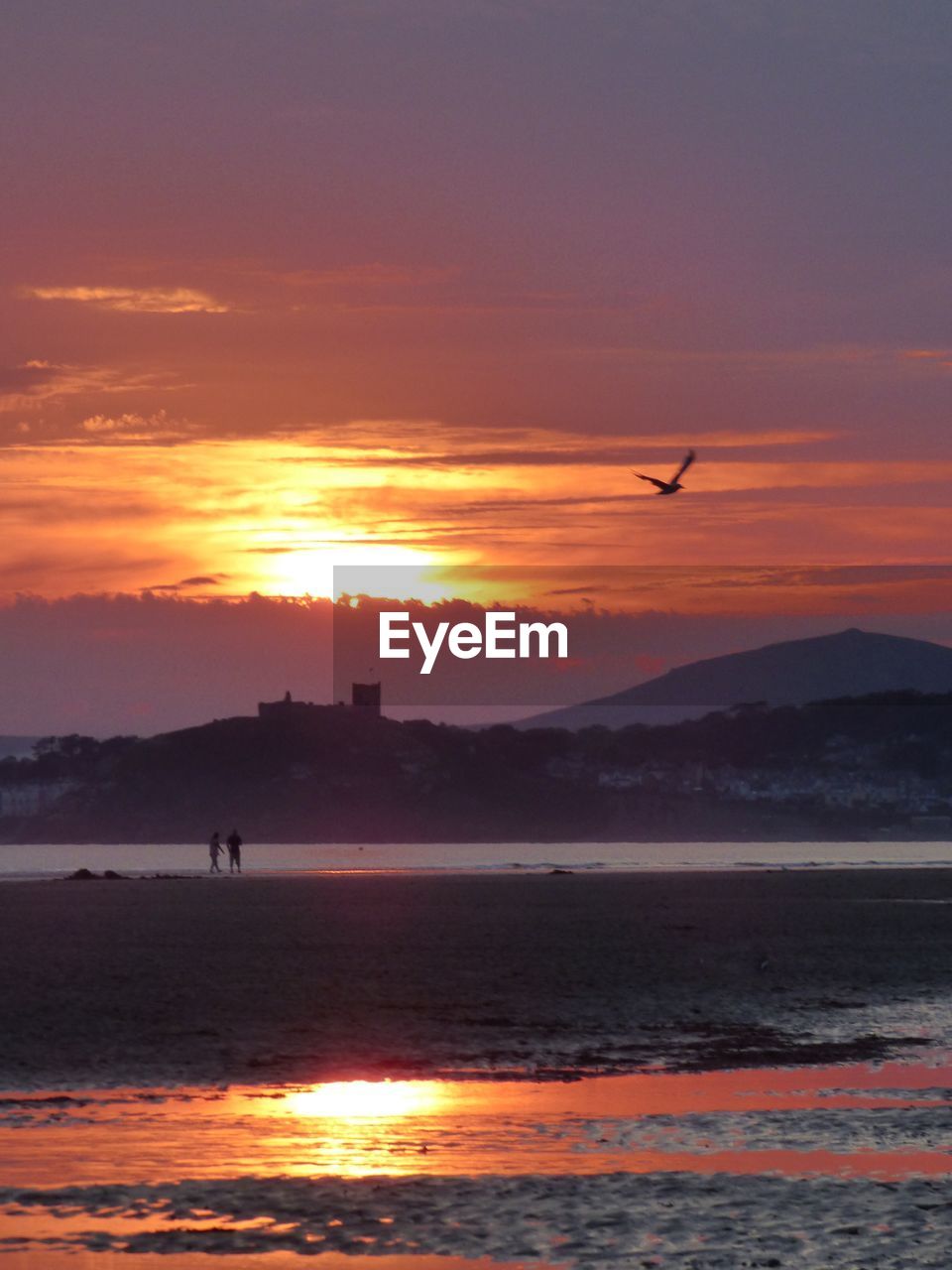 SILHOUETTE BIRDS FLYING OVER SEA AGAINST ORANGE SKY