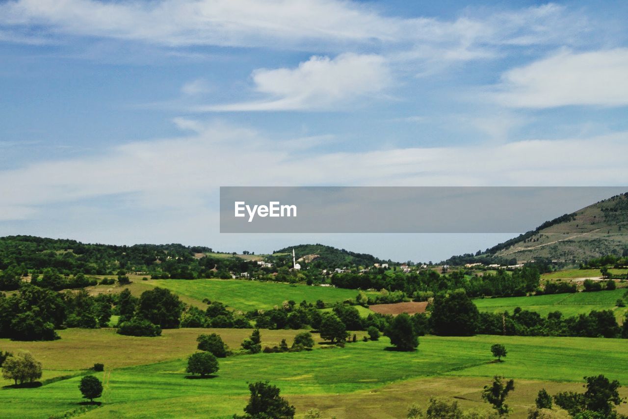 Trees on countryside landscape