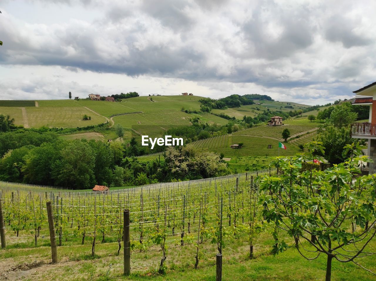 Scenic view of vineyards against sky in langhe region