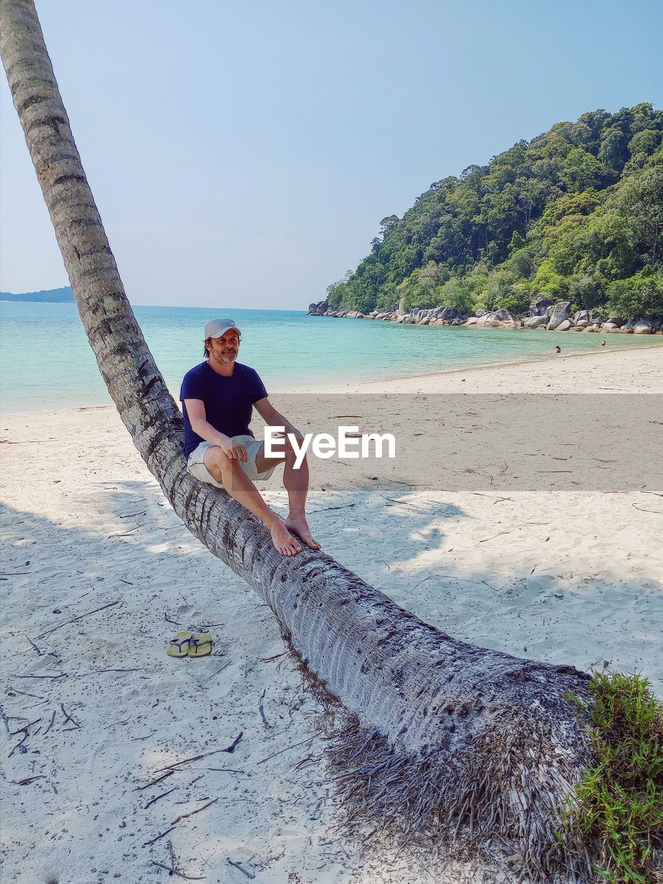 Rear view of man sitting on palm palm trunk on beach