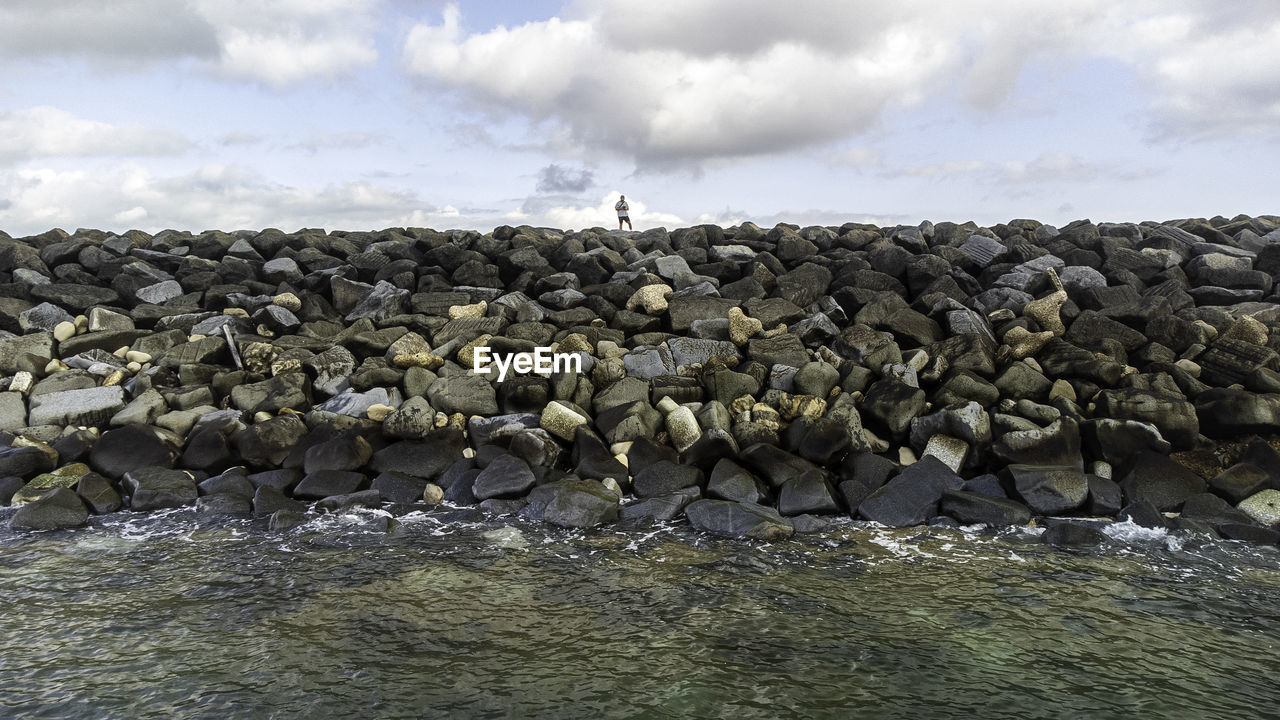 sea, cloud, rock, sky, coast, nature, water, shore, animal wildlife, animal, wildlife, large group of animals, animal themes, land, abundance, no people, environment, group of animals, beach, outdoors, day, non-urban scene, beauty in nature, landscape, scenics - nature, bird