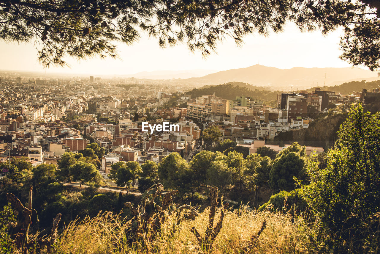 Aerial view of barcelona during sunset