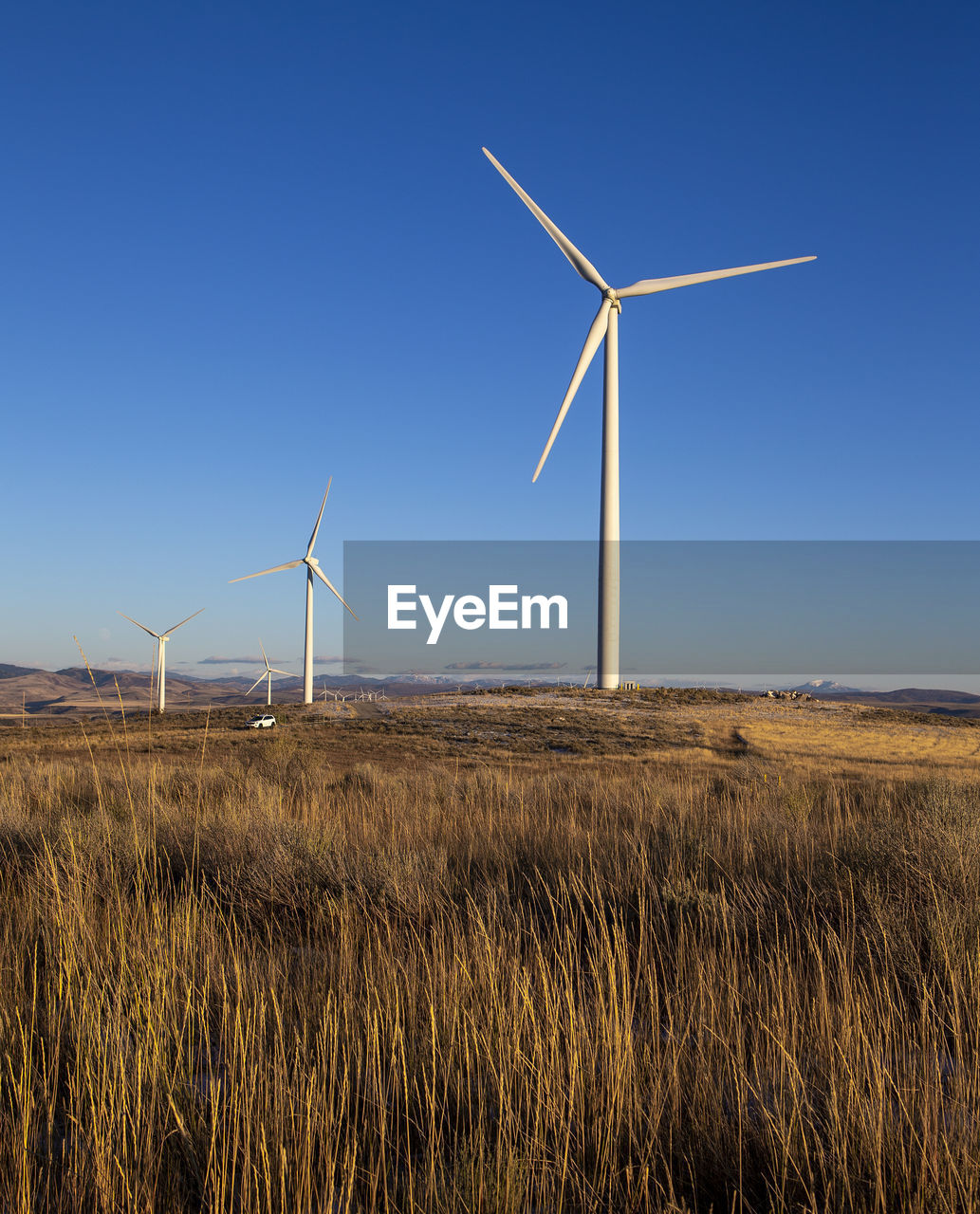 Wind turbines in field against blue sky