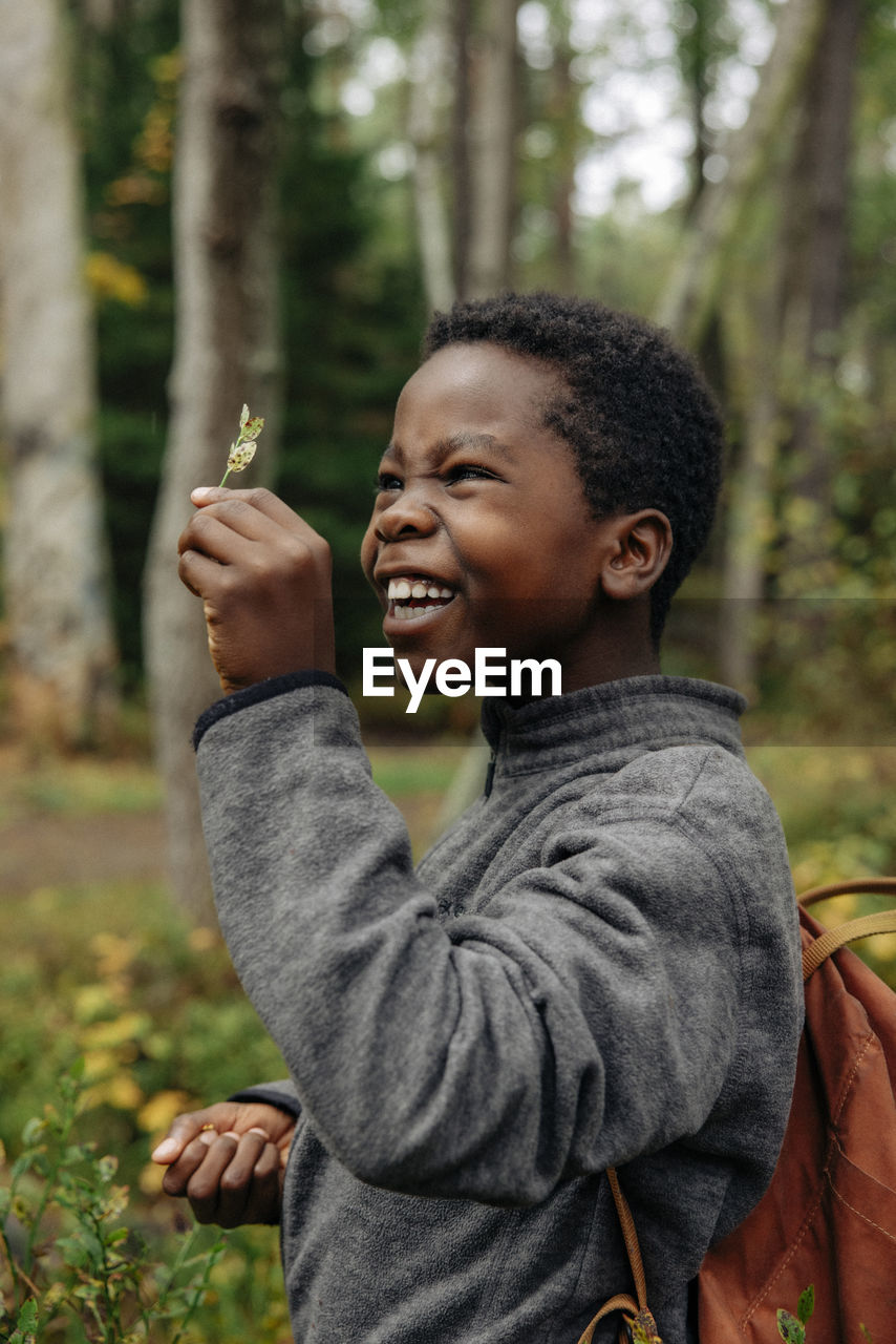 Side view of cheerful boy examining leaf during vacation in forest