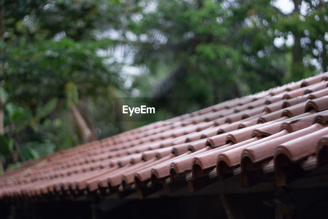 LOW ANGLE VIEW OF ROOF AND BUILDING