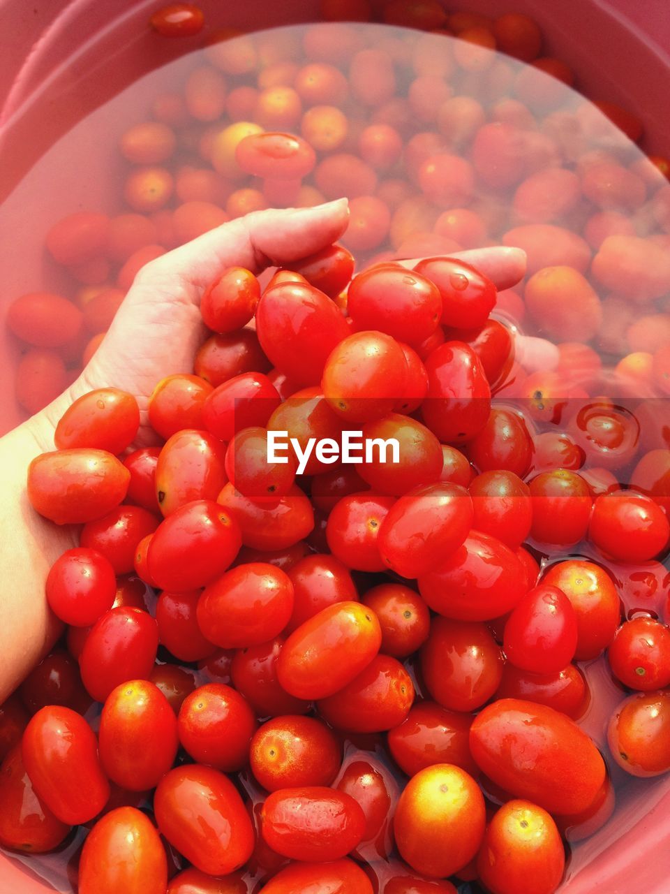 Close-up of tomatoes