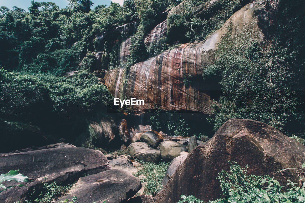 VIEW OF ROCKS AND PLANTS