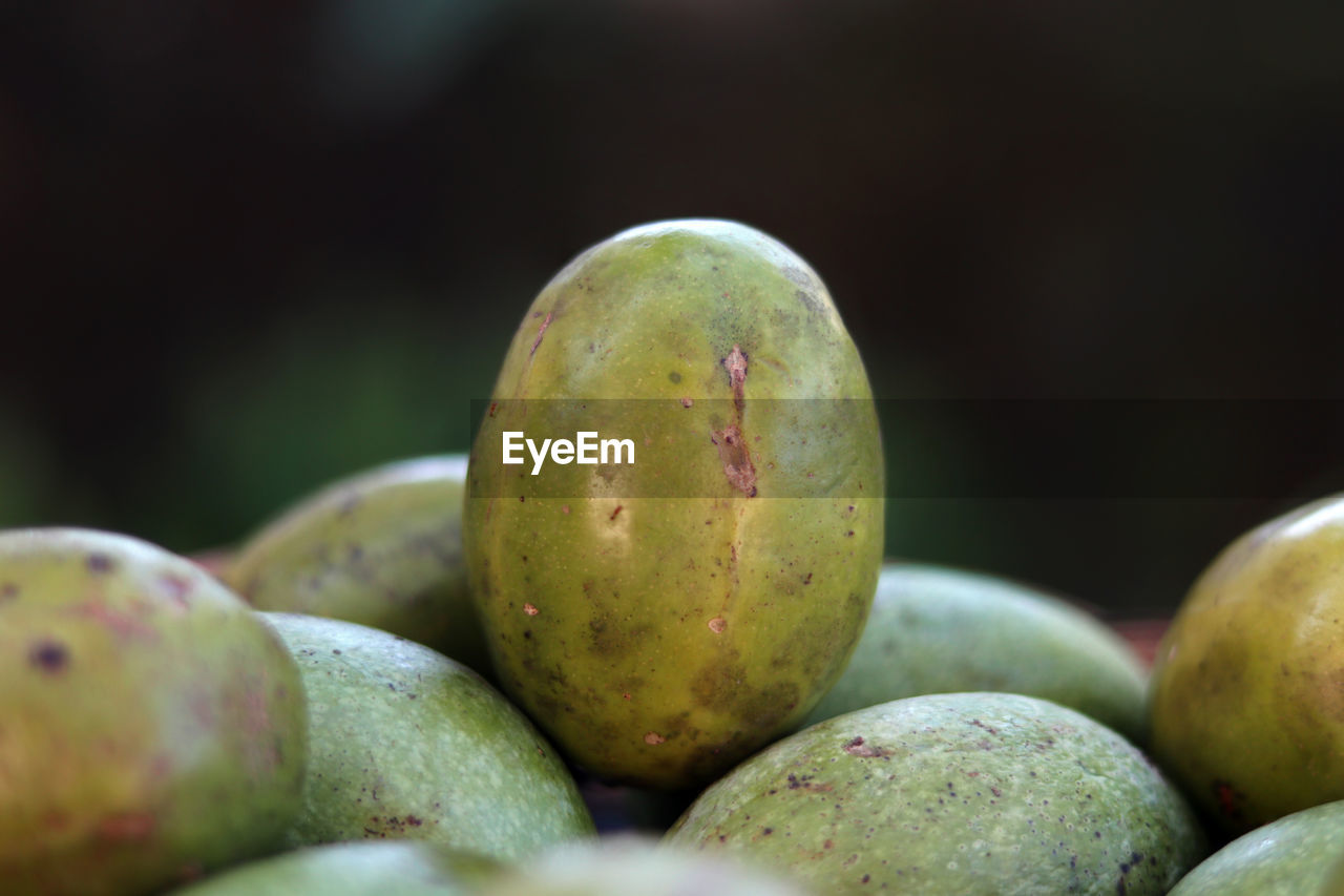 CLOSE-UP OF FRESH FRUITS