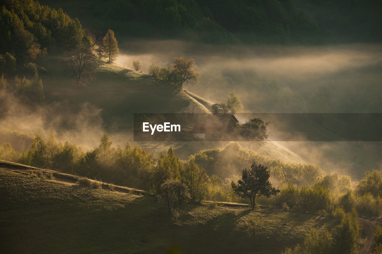 Mountain landscape in the spring season.