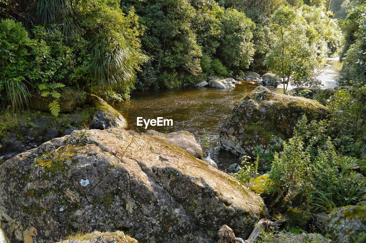 Stream flowing through rocks in forest