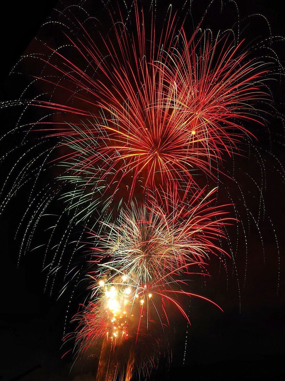 Low angle view of illuminated fireworks against sky at night