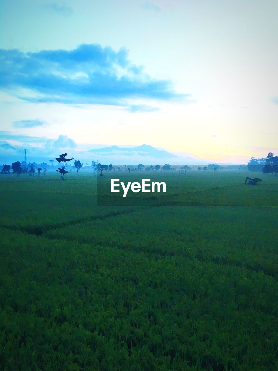 SCENIC VIEW OF AGRICULTURAL LANDSCAPE AGAINST SKY