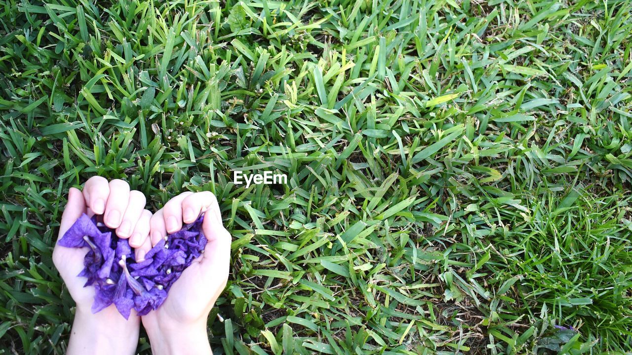 LOW SECTION OF WOMAN STANDING ON GRASS