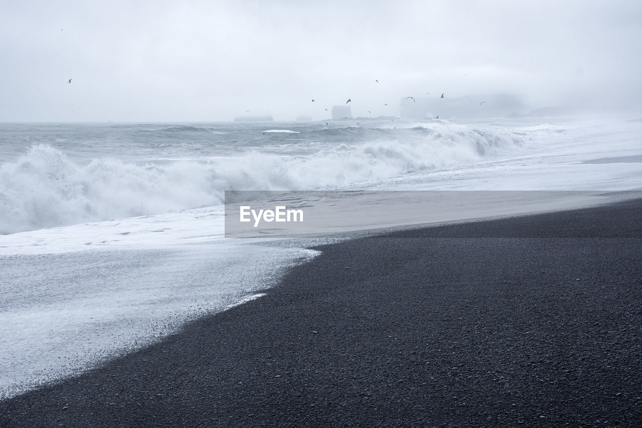 sea, land, water, wave, beach, horizon, ocean, wind wave, beauty in nature, sky, scenics - nature, nature, shore, environment, coast, motion, sand, landscape, cloud, snow, tranquility, no people, sports, winter, day, white, outdoors, tranquil scene, horizon over water, black and white, cold temperature, monochrome, water sports, wind, travel destinations, non-urban scene, animal wildlife, monochrome photography, travel, coastline, animal, idyllic