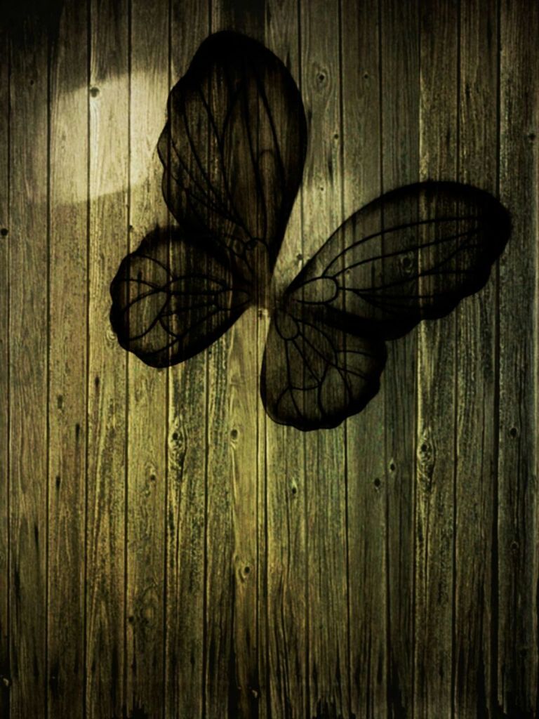 Artificial butterfly on door