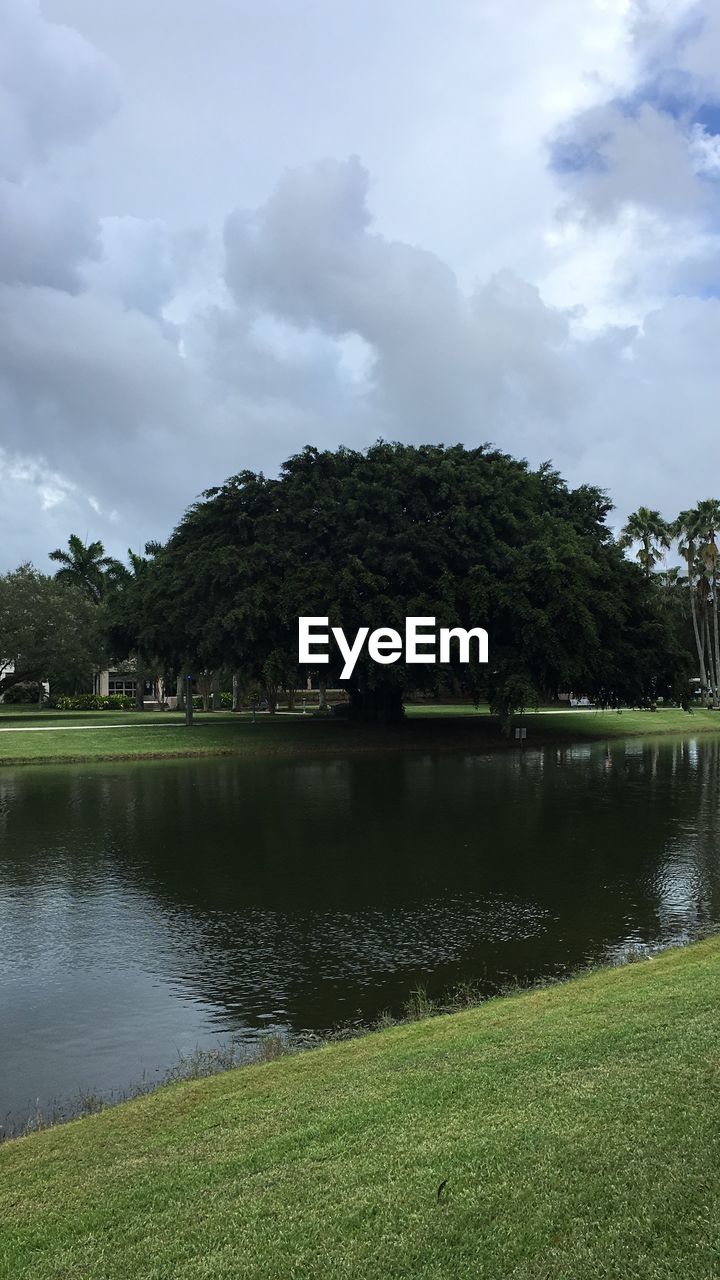 SCENIC VIEW OF LAKE AGAINST TREES