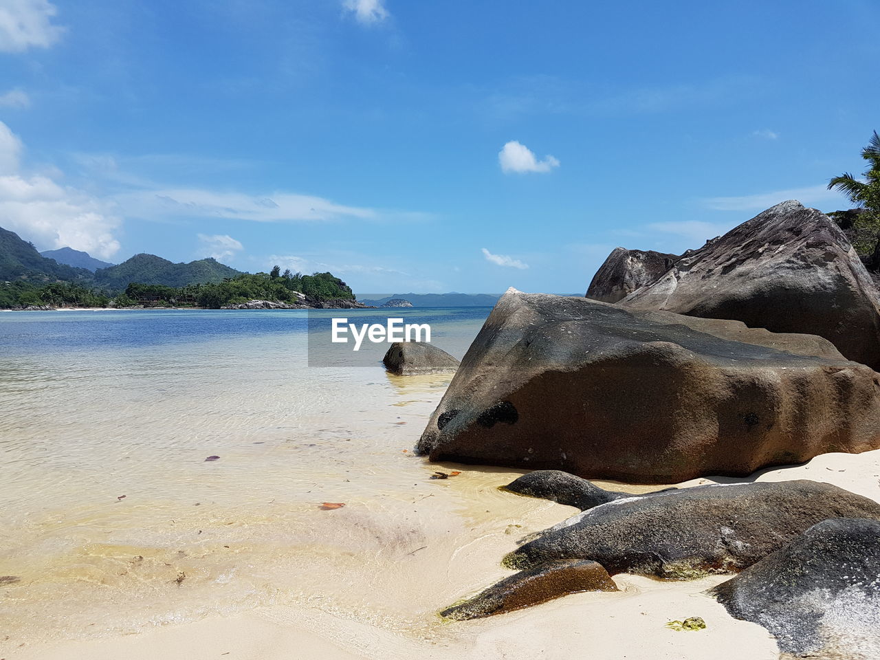 SCENIC VIEW OF BEACH