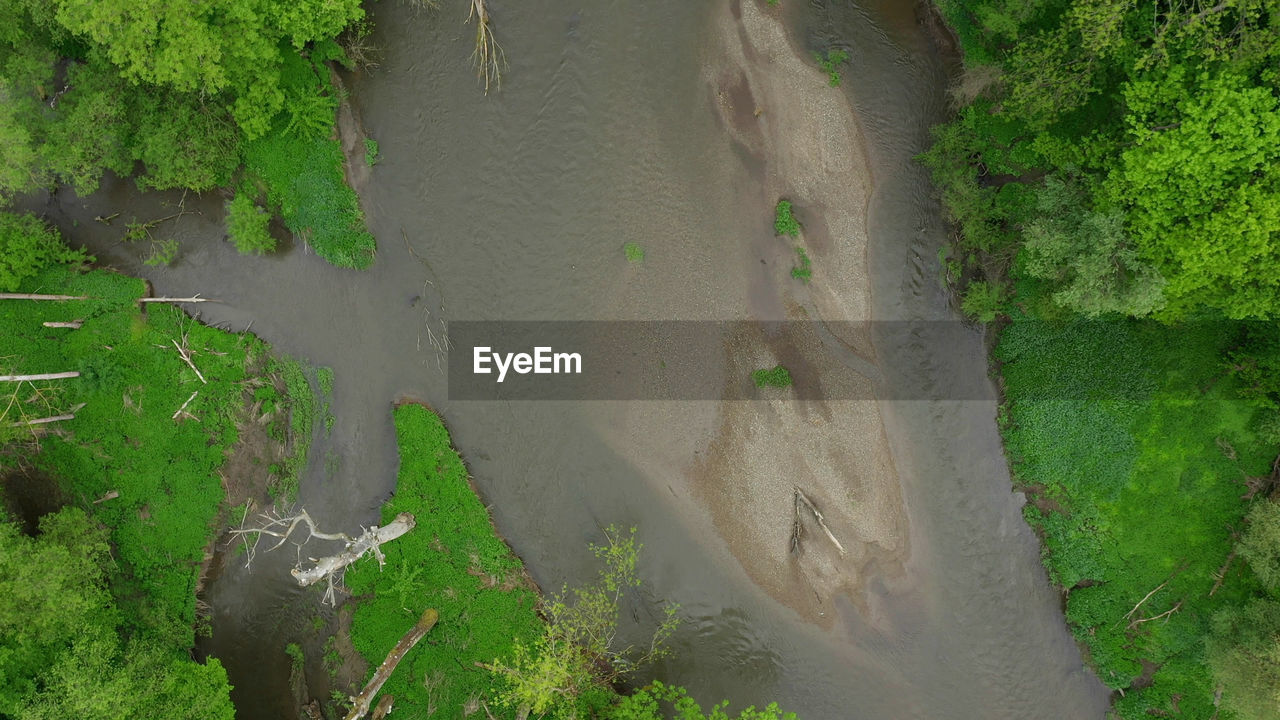 plant, water, green, nature, high angle view, tree, land, environment, no people, day, growth, beauty in nature, outdoors, terrain, aerial view, landscape, scenics - nature, jungle, tranquility, soil, natural environment, waterway, forest, river