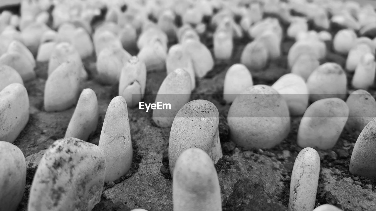 Full frame shot of stones