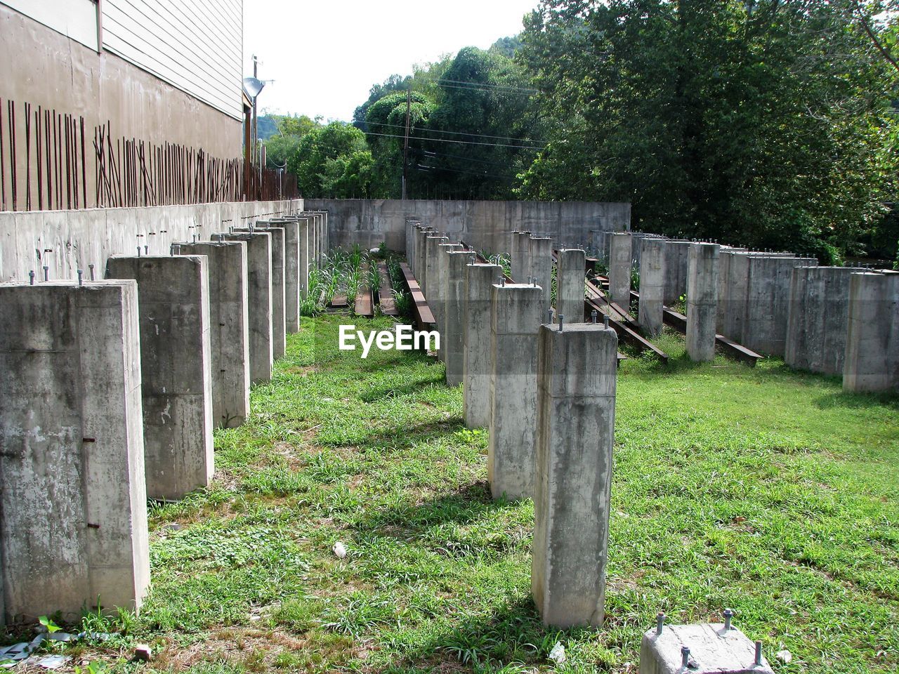 WOODEN BRIDGE ON FIELD AGAINST TREES