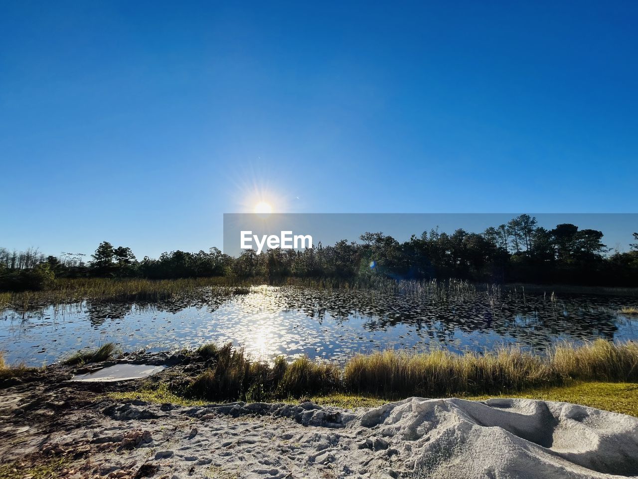 reflection, sky, nature, water, landscape, plant, shore, tree, lake, morning, tranquility, scenics - nature, beauty in nature, wilderness, blue, clear sky, environment, tranquil scene, sunlight, no people, horizon, winter, body of water, sun, land, cloud, reservoir, natural environment, sunny, snow, non-urban scene, dusk, outdoors, grass, forest, day, travel destinations, idyllic, wetland