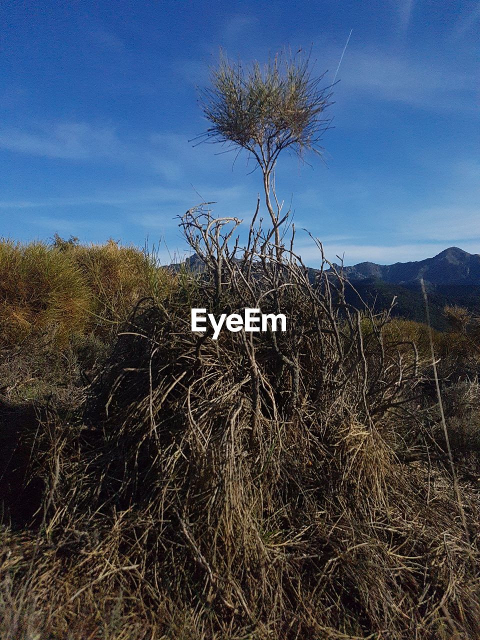 Scenic view of land against sky