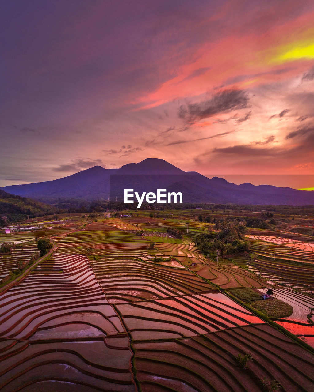View of indonesia in the morning, rice terraces and bright sun from an aerial photo