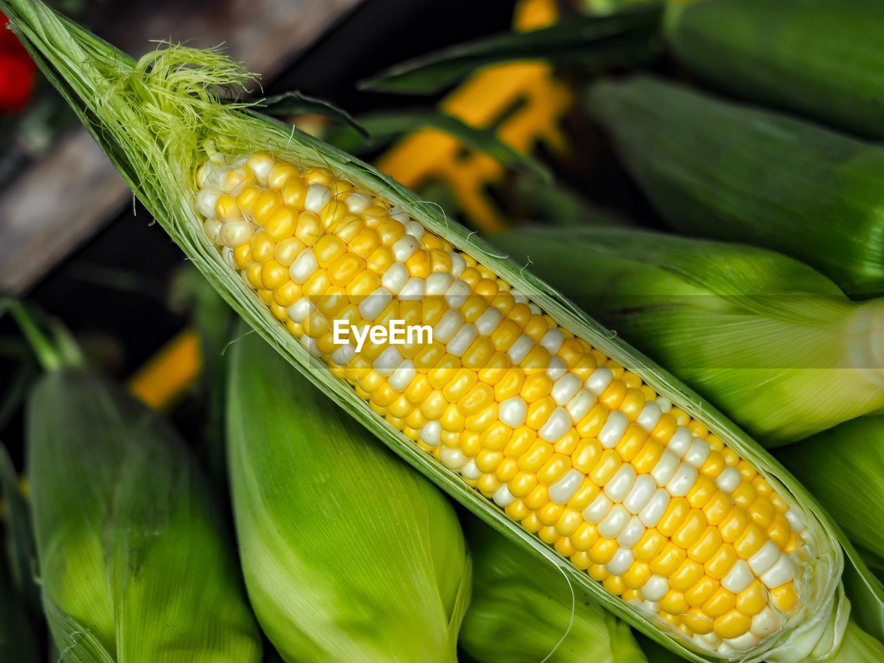 Close-up of fresh corn 