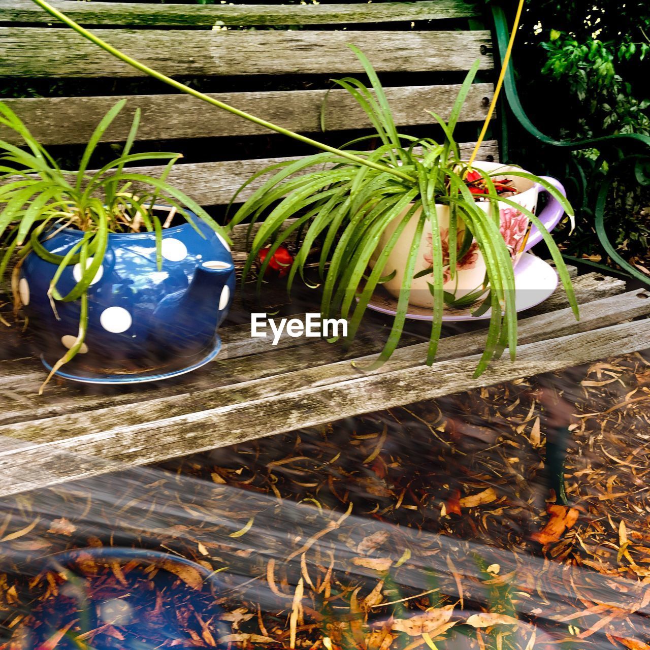 HIGH ANGLE VIEW OF POTTED PLANT IN BASKET