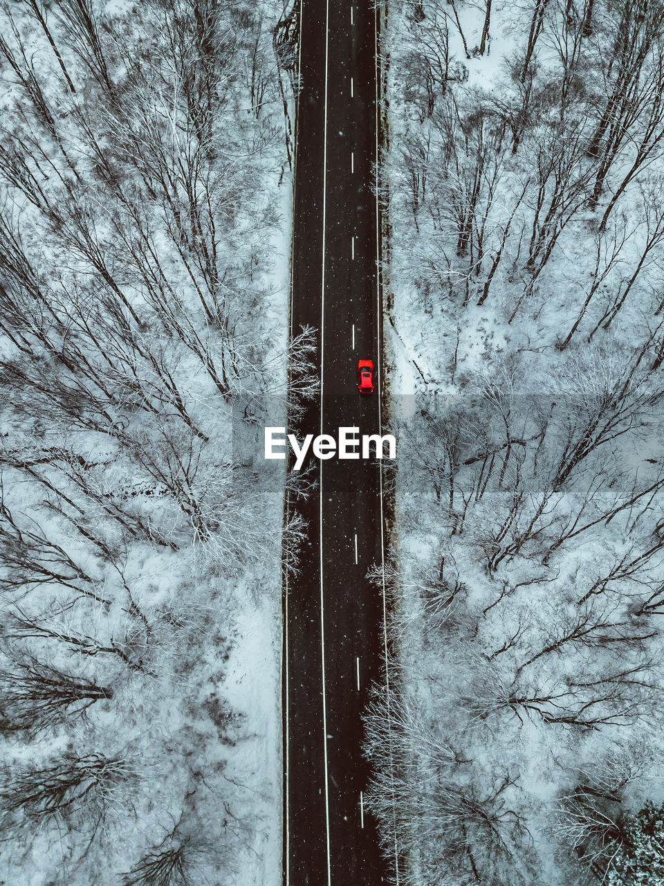 Road amidst snow covered trees in forest