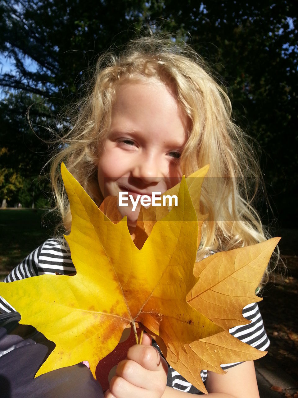 Portrait of smiling girl holding maple leaf while standing in park