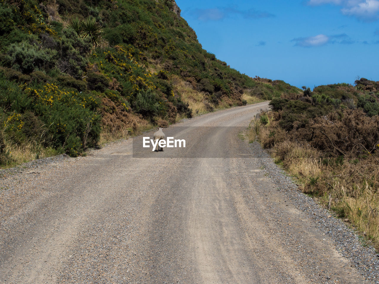 Road passing through landscape