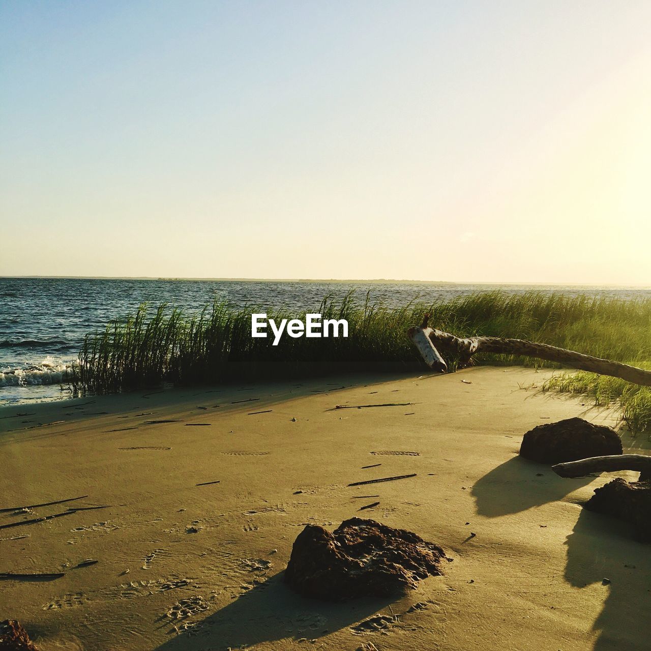 Scenic view of beach against sky