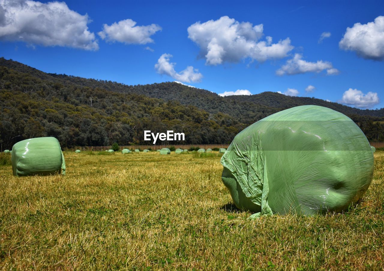 Hay bales on field against sky