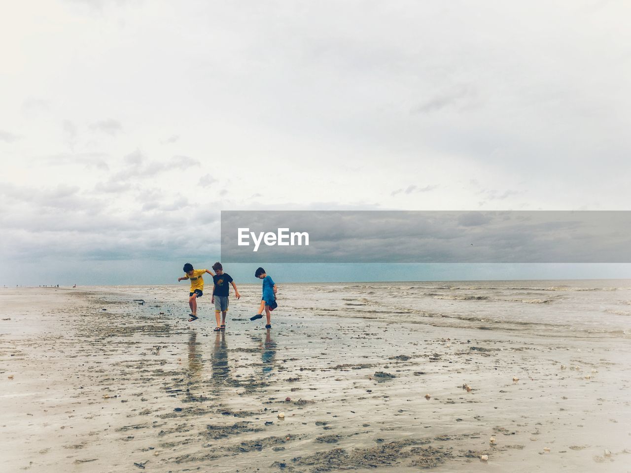 Rear view of people on beach against sky